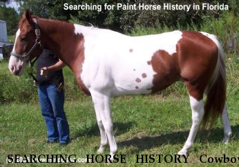 SEARCHING HORSE HISTORY Cowboy, Near Penney Farms, FL, 32079